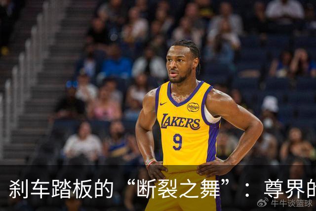 刹车踏板的“断裂之舞”：尊界的安全危机与车主心声