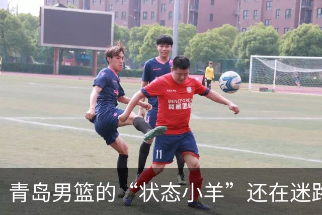 青岛男篮的“状态小羊”还在迷路中